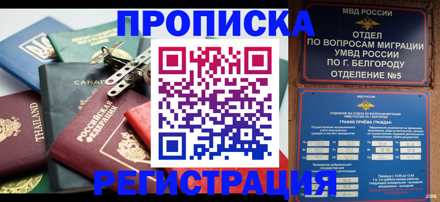 временная регистрация недорого в Мамадыше